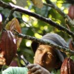 Primo marchio di cioccolato a ottenere la certificazione di sostenibilità leader a livello globale